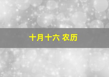 十月十六 农历