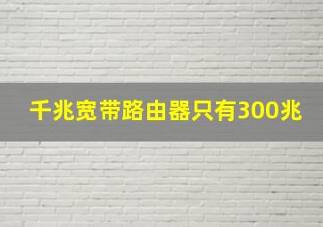 千兆宽带路由器只有300兆