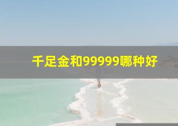 千足金和99999哪种好