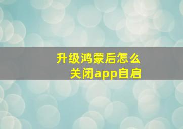 升级鸿蒙后怎么关闭app自启