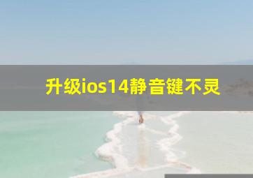 升级ios14静音键不灵