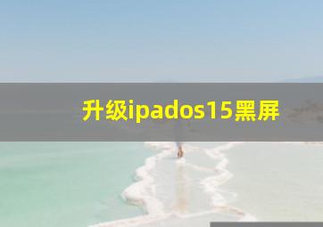 升级ipados15黑屏