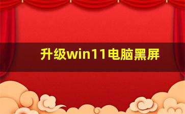 升级win11电脑黑屏