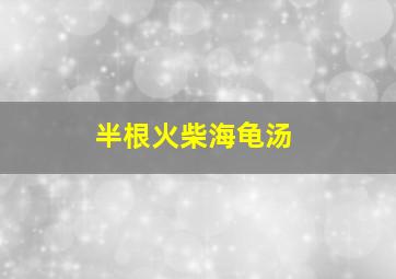 半根火柴海龟汤