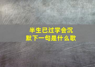 半生已过学会沉默下一句是什么歌