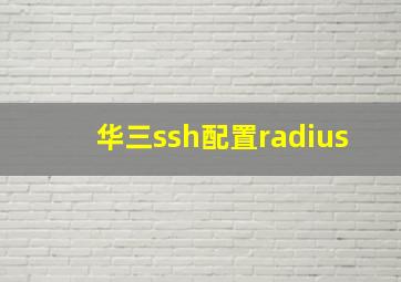 华三ssh配置radius