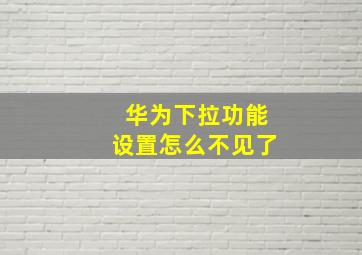 华为下拉功能设置怎么不见了