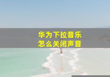 华为下拉音乐怎么关闭声音