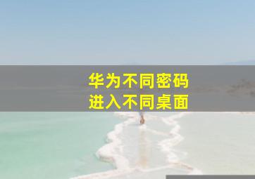 华为不同密码进入不同桌面