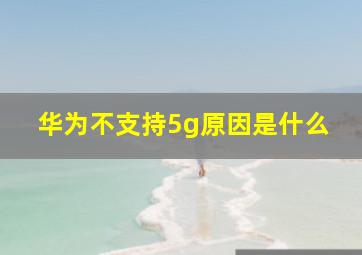 华为不支持5g原因是什么