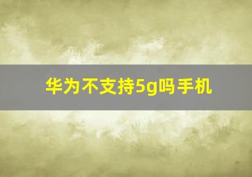 华为不支持5g吗手机