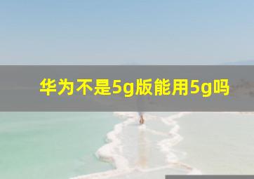 华为不是5g版能用5g吗