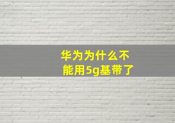 华为为什么不能用5g基带了