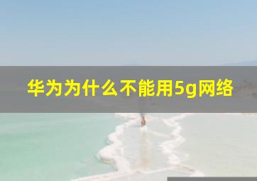 华为为什么不能用5g网络