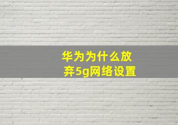 华为为什么放弃5g网络设置