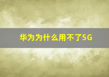 华为为什么用不了5G