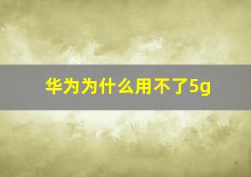 华为为什么用不了5g