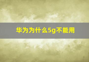 华为为什么5g不能用