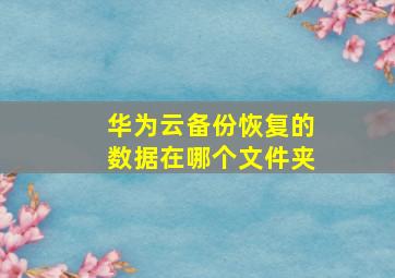 华为云备份恢复的数据在哪个文件夹