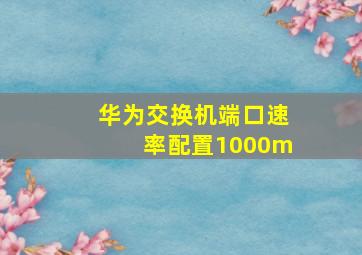 华为交换机端口速率配置1000m