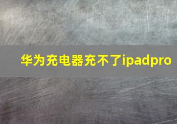 华为充电器充不了ipadpro