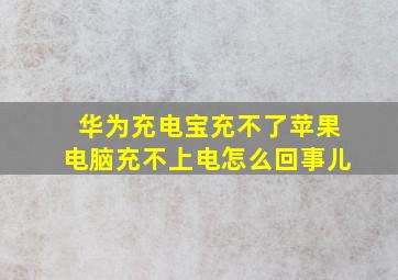 华为充电宝充不了苹果电脑充不上电怎么回事儿