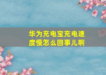 华为充电宝充电速度慢怎么回事儿啊