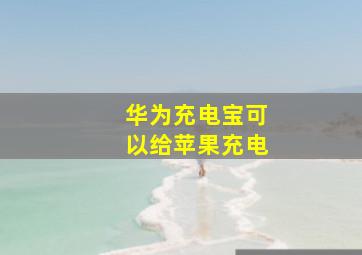 华为充电宝可以给苹果充电