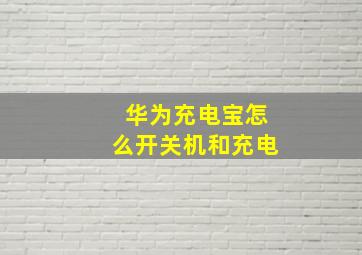 华为充电宝怎么开关机和充电