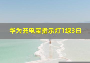 华为充电宝指示灯1绿3白