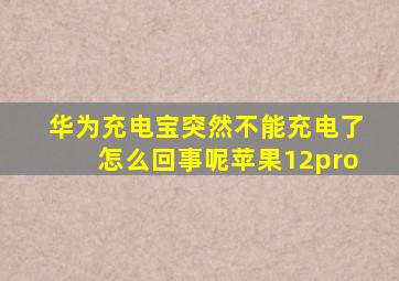 华为充电宝突然不能充电了怎么回事呢苹果12pro