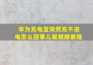 华为充电宝突然充不进电怎么回事儿呢视频教程