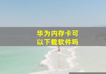 华为内存卡可以下载软件吗