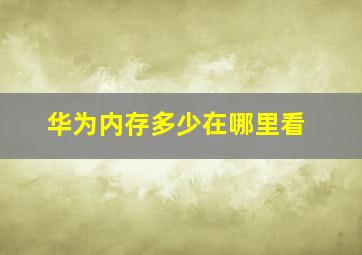 华为内存多少在哪里看