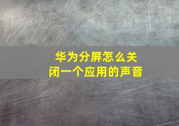 华为分屏怎么关闭一个应用的声音