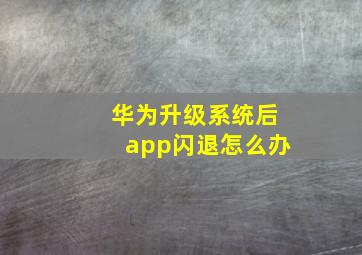 华为升级系统后app闪退怎么办