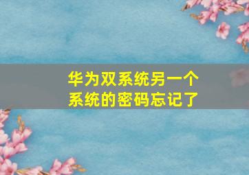 华为双系统另一个系统的密码忘记了