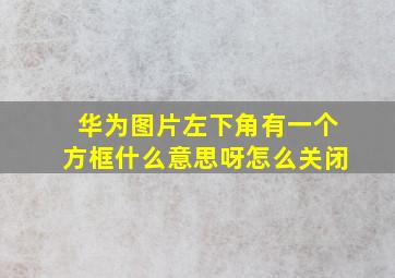 华为图片左下角有一个方框什么意思呀怎么关闭