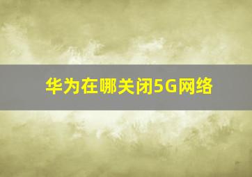 华为在哪关闭5G网络