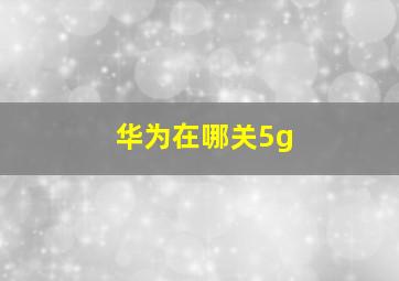 华为在哪关5g