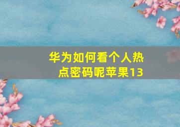 华为如何看个人热点密码呢苹果13