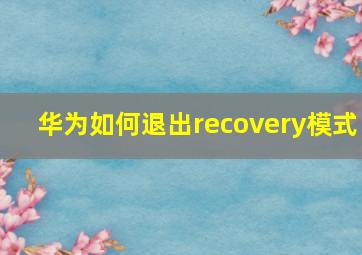 华为如何退出recovery模式