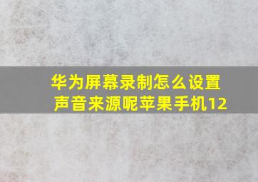 华为屏幕录制怎么设置声音来源呢苹果手机12