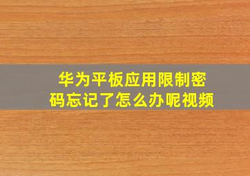 华为平板应用限制密码忘记了怎么办呢视频