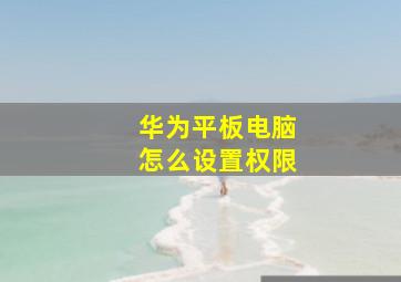 华为平板电脑怎么设置权限