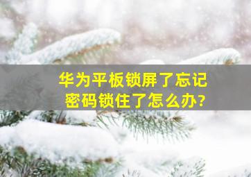 华为平板锁屏了忘记密码锁住了怎么办?