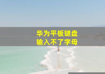 华为平板键盘输入不了字母