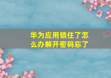 华为应用锁住了怎么办解开密码忘了