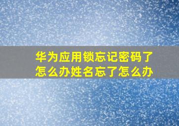 华为应用锁忘记密码了怎么办姓名忘了怎么办