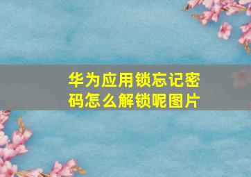 华为应用锁忘记密码怎么解锁呢图片